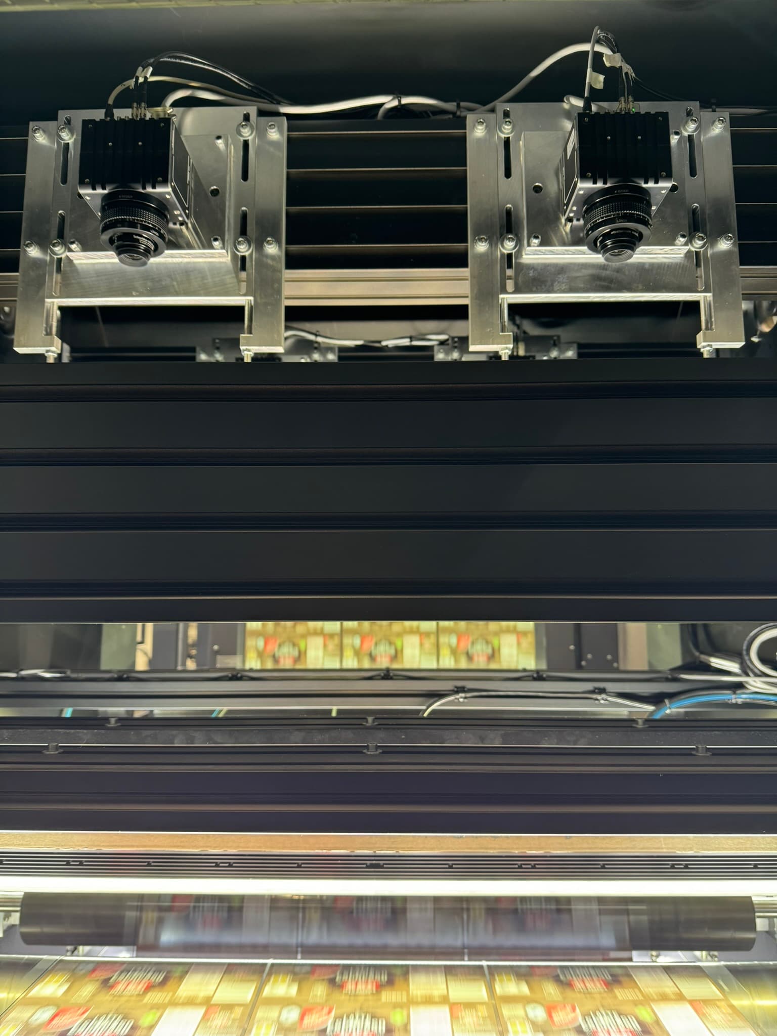 vInspect camera bridge with two area cameras above the running web